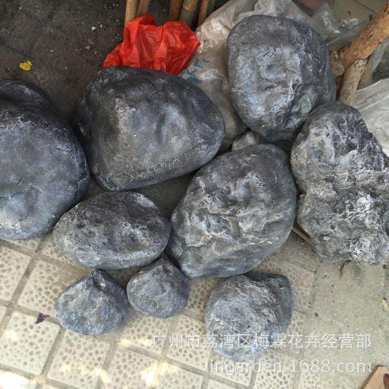 可以养到10斤重巨型大乌龟珍珠龟花龟珍珠龟母1斤到10斤吃菜乌龟