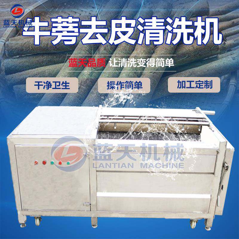 牛蒡去皮清洗机 不锈钢牛蒡毛辊清洗机 牛蒡子药材根去皮清洗设备