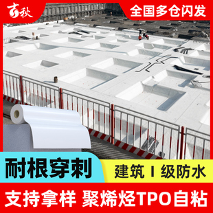 自粘防水卷材TPO种植建筑屋面贴彩钢瓦外露高分子PVC聚烯烃热塑性