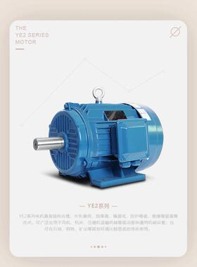 本公司现货供应YE3-802-21.1W三相异步电动机质保一年