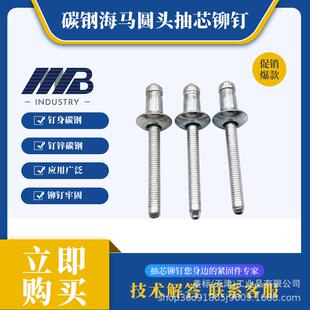 霸牌全铁海马抽芯拉铆钉M6.4 6.4汽车结构型铆钉轻乐型 10.5φ4.8