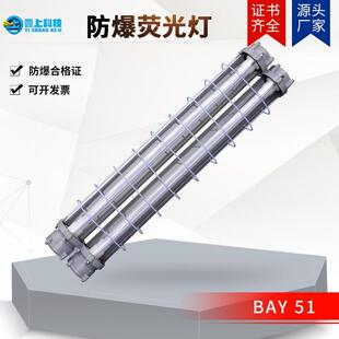 BAY LED防爆荧光灯 防爆节能灯防爆条灯 防爆洁净荧光灯