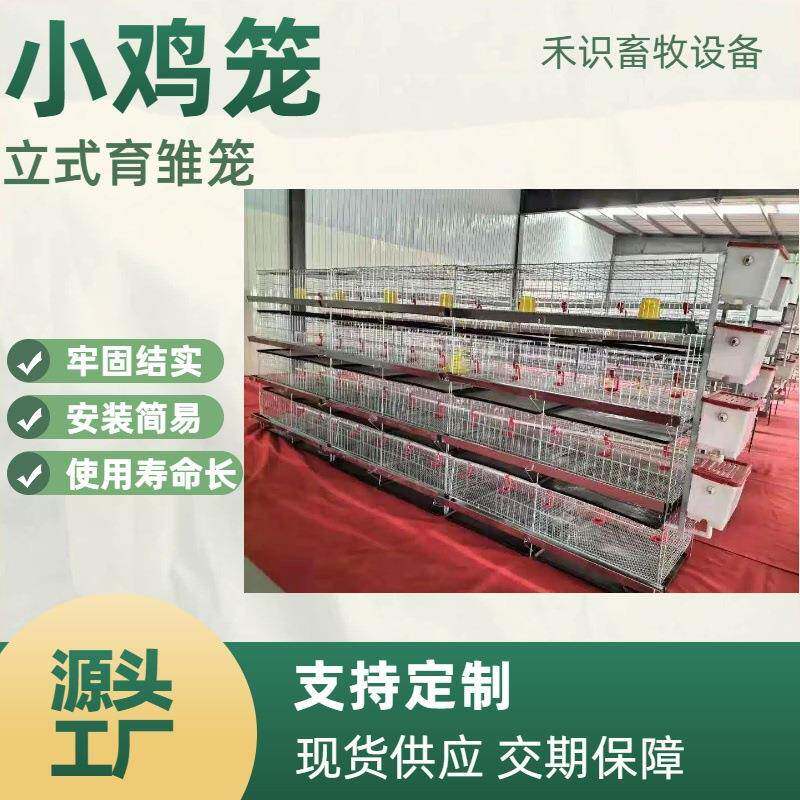 立式育雏小鸡笼雏鸡育苗笼养雏鸡笼养殖场铁丝镀锌防夹防跑小鸡笼