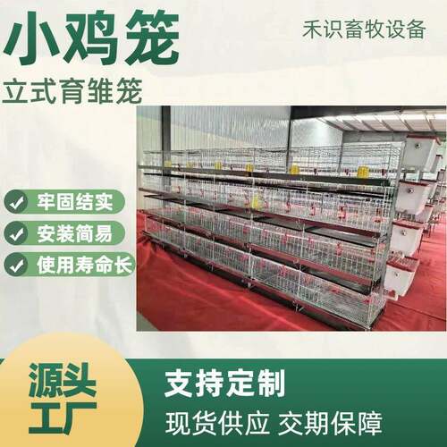 立式育雏小鸡笼雏鸡育苗笼养雏鸡笼养殖场铁丝镀锌防夹防跑小鸡笼