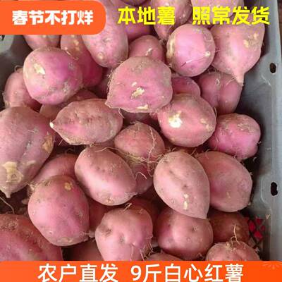 重庆红薯山芋助农地瓜红皮白心红薯新鲜干瓤粉圆红苕板栗番薯9斤