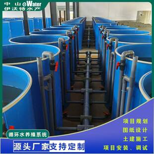 工厂化循环水养殖高密度鱼类养殖育苗鱼苗孵化系统高密度养殖