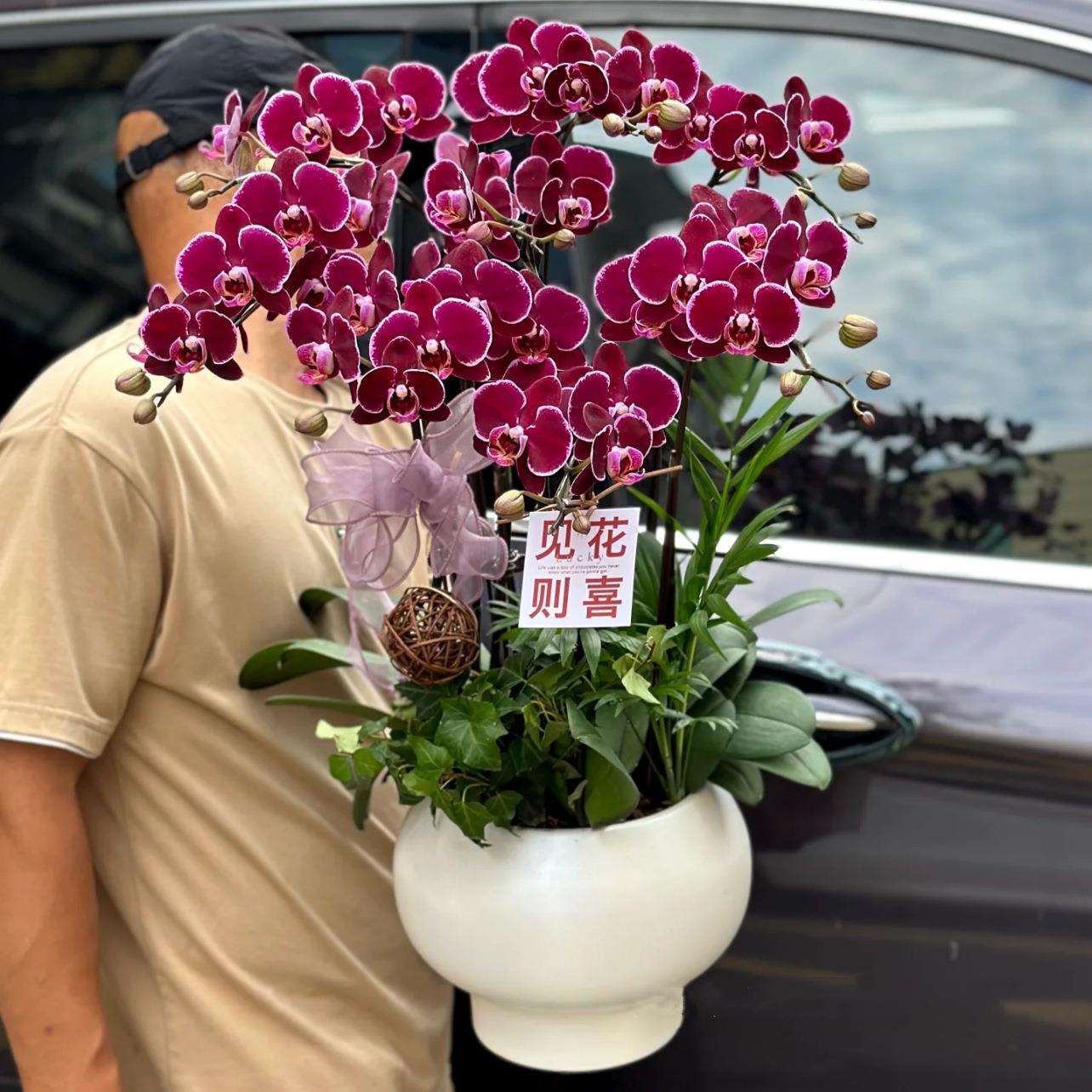 银柳冬青蝴蝶兰珍珠釉新年宵花福桶轻奢客厅插花花器盆栽盆景花盆