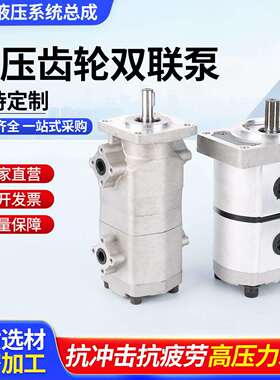 二双联油泵HGP-11A/22A/33A液压高压齿轮油泵头浦液压系统站配件