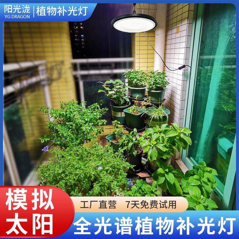 彷太阳光模拟灯全光谱植物补光灯大棚室内养兰花卉月季植物生长灯