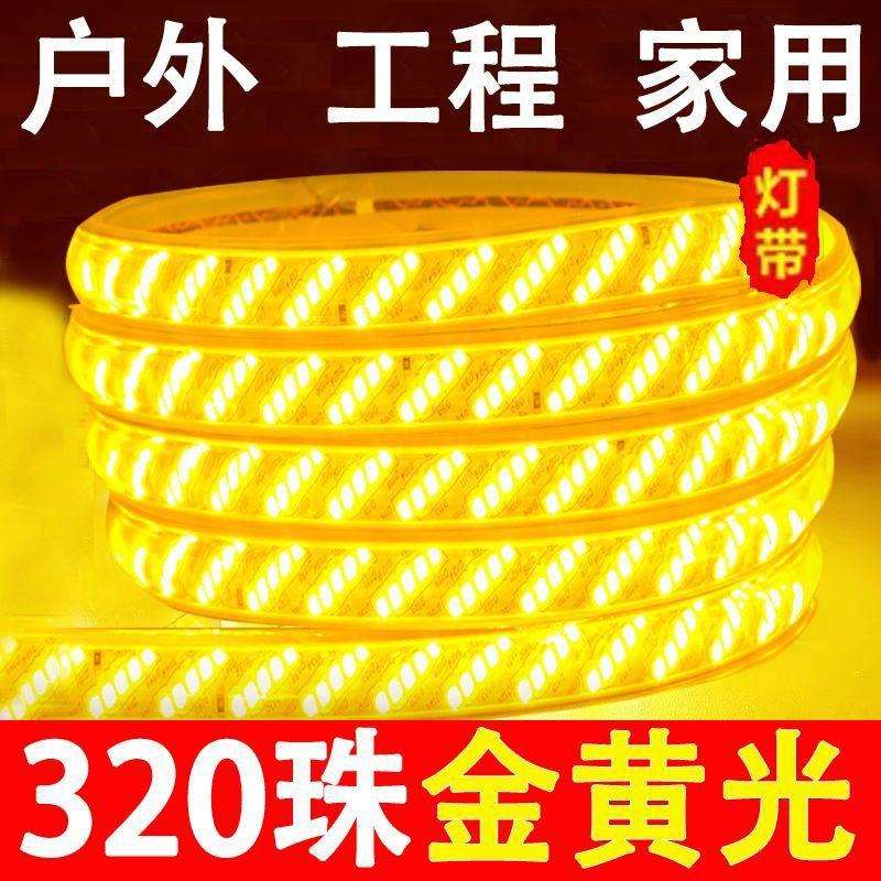 220v户外灯带l灯e超亮ECGd水客厅屋檐防外墙条工程室外暖光暖色