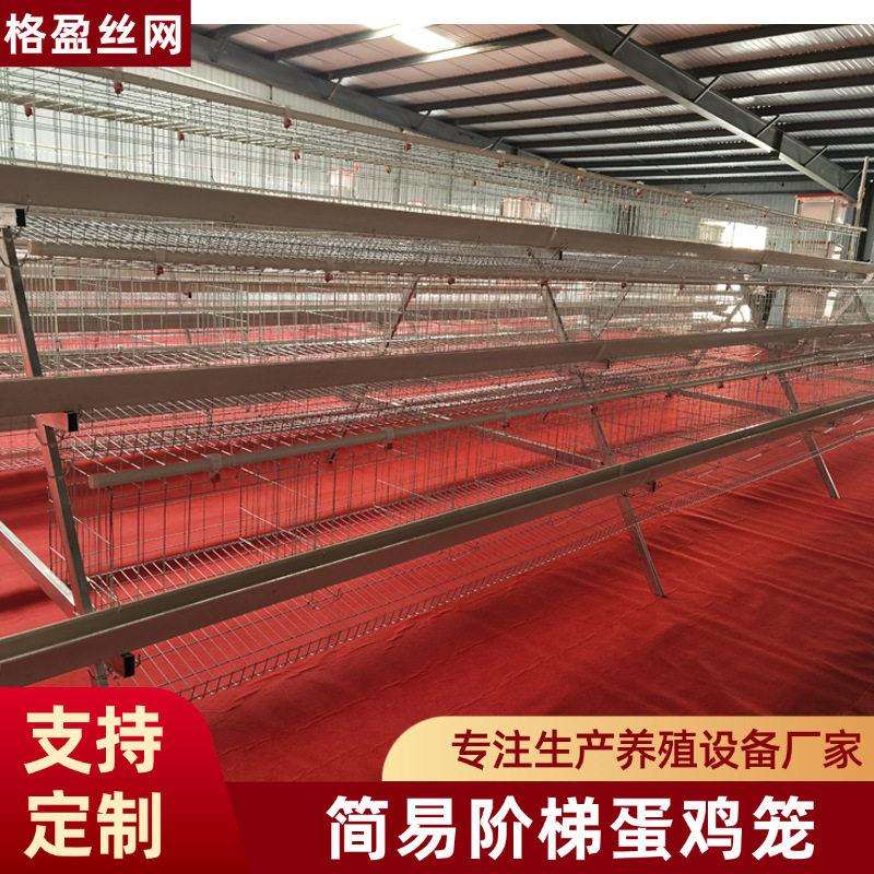 阶梯式蛋鸡笼热镀锌三层四门A字形养鸡设备养殖场用鸡笼白绿食槽