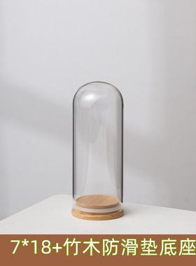 干花玻璃罩展示柜圆球形摆设情人节永生花核雕球罩玩偶密封罐活动