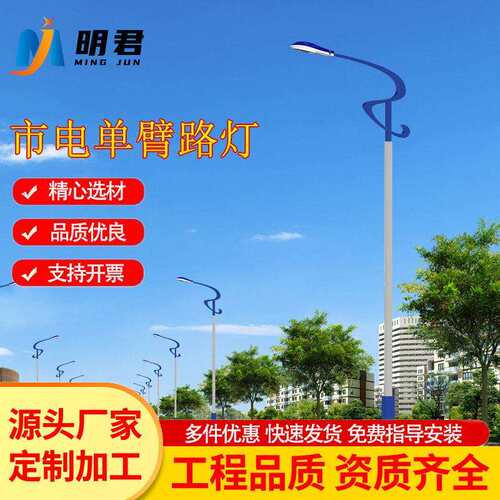 Led路灯杆户外新农村4/5/6/8/10/12米小区广场市电道路高杆灯厂家