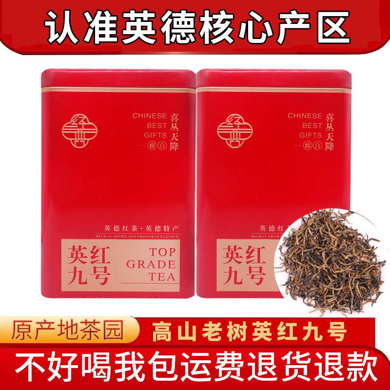 26年正宗高山英德红茶英红九号浓香型一级产区老树茶叶礼盒装500g