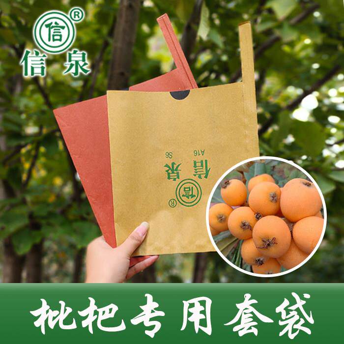 枇杷套袋专用袋信泉加厚遮光单层复合纸包水果纸袋琵琶育果保温袋