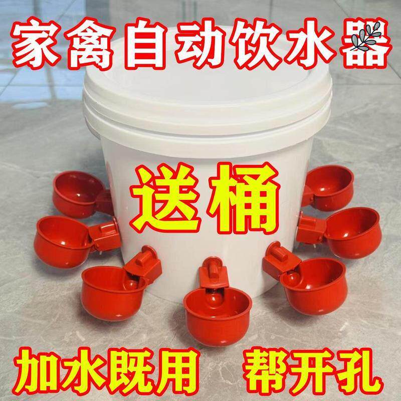 农村自动喂鸡家禽养殖小鸡鸭喂鸡食槽水槽一体喂鸡懒人神器出远门
