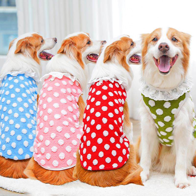金毛拉布拉多宠物大狗狗衣服圆点花边秋冬猫咪衣服饰用品跨境
