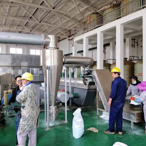 氯化镍颗粒直线振动流化床干燥床进行高温干燥二级进行低温冷却