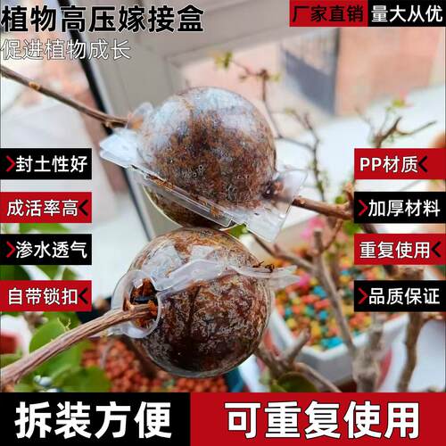 植物高压包高压嫁接盒植物培养器繁殖盒育苗果树压条植物生根器