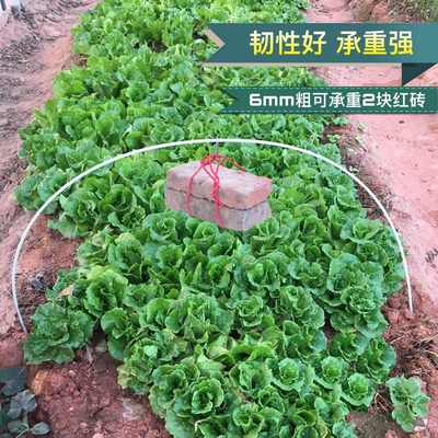 玻璃纤维杆拱棚100根钢纤维棒小拱竿大棚骨架棚内棚支架骨保温棚
