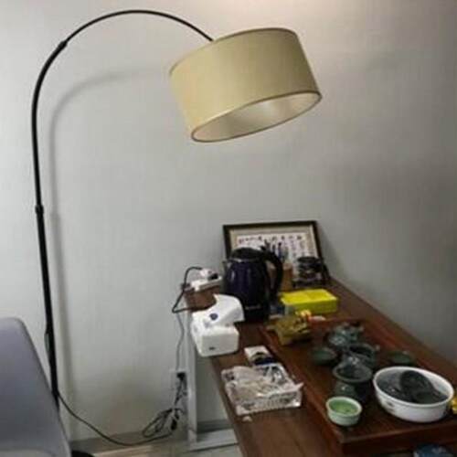 高档欧式钓鱼落地灯卧现代简约in室s少女创意轻客奢智厅能LED护眼