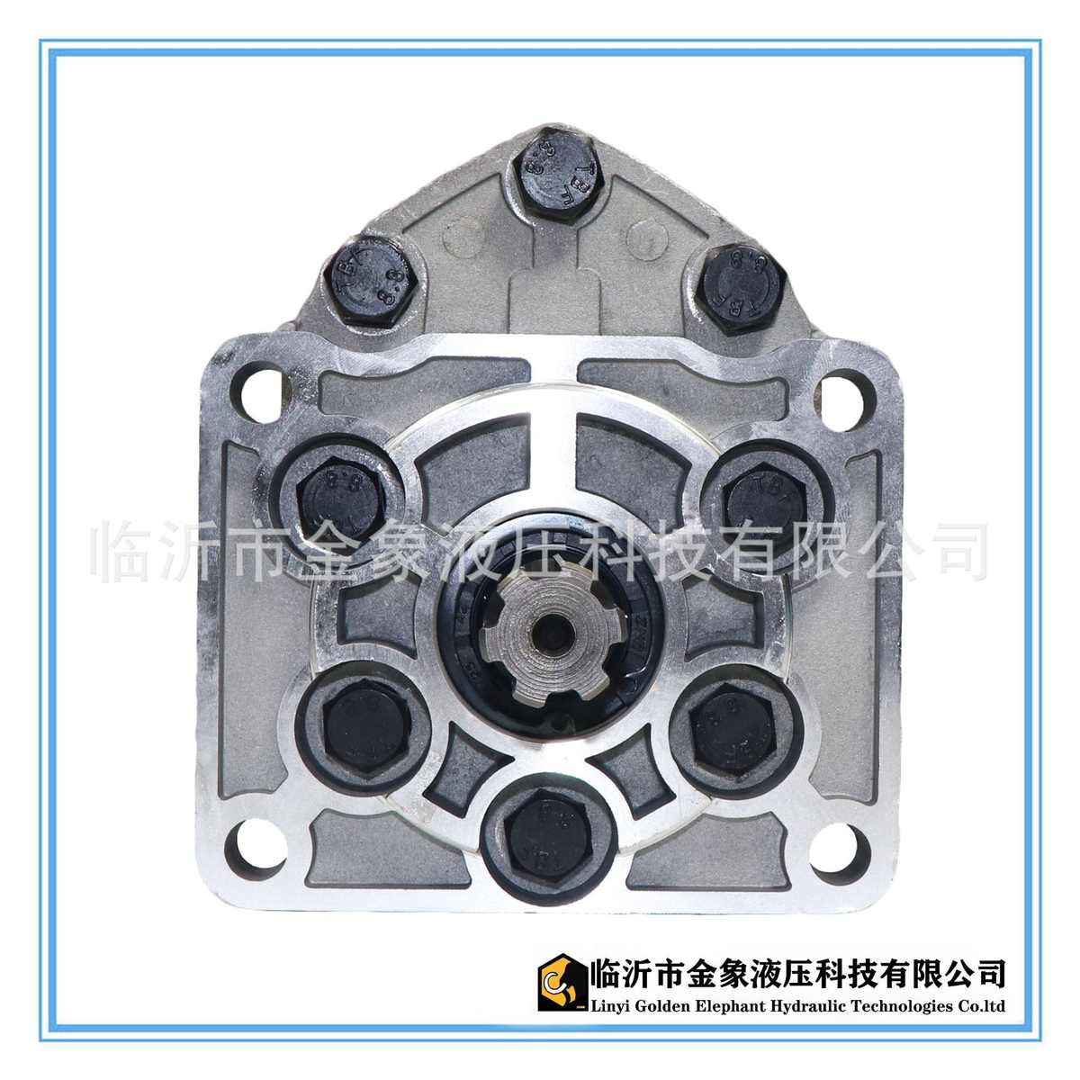 液压齿轮泵CBT-E/CBT-F532/550/563/580/590/5100花左花右侧出