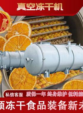 含糖量高果蔬真空冷冻干燥机云南冰糖橙冻干设备低温脱水冻干机