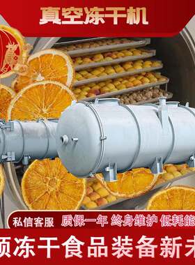 含糖量高果蔬真空冷冻干燥机云南冰糖橙冻干设备低温脱水冻干机