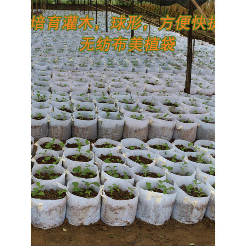 工厂直销美植袋植树袋 控根器无纺布育苗袋营养袋 苗木种植袋加厚,鲜花速递/花卉仿真/绿植园艺,花盆,淘宝优惠券,粉丝福利购,淘宝优惠卷
