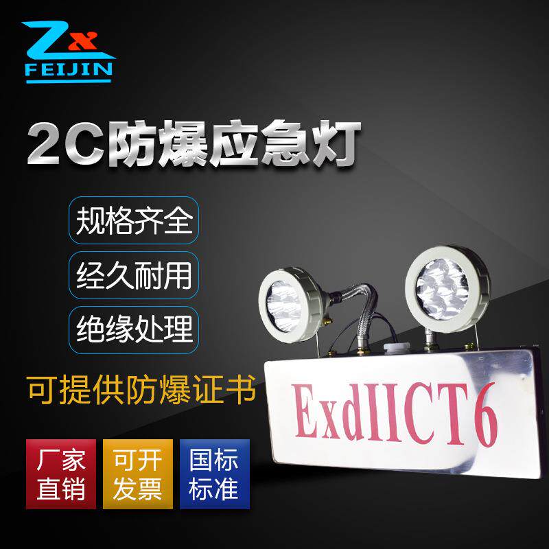 防爆双头应急灯 2C级 CT6 防爆应急灯 不锈钢材质 BCJ