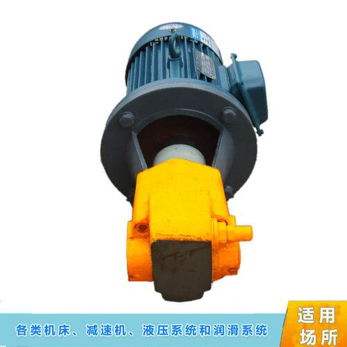BB-B1620252YJZ摆线齿轮泵电机组立卧式油泵电机组