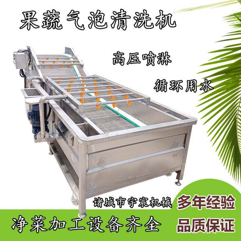 山野菜净菜清洗设备杨梅草莓辣椒水果清洗机青椒果蔬气泡清洗机