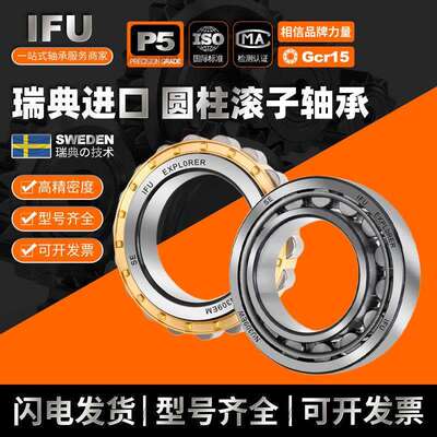IFU圆柱滚子轴承 NJ309 NU309 NUP309 N309 RN309 ECM ECP EM EW