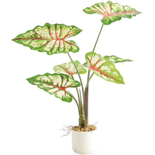 仿生植物盆栽彩叶芋北欧INS客厅装饰绿植仿真植物龟背竹喜林芋