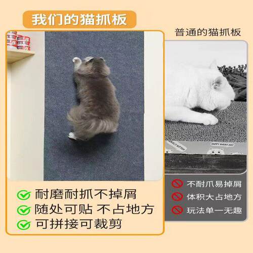 Anti cat scratch protection sofa furniture防猫抓保护沙发家具