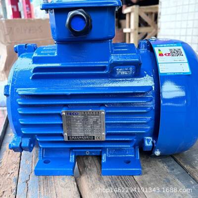 电机TEV3100L2-4AEEV3NQ3W4P
