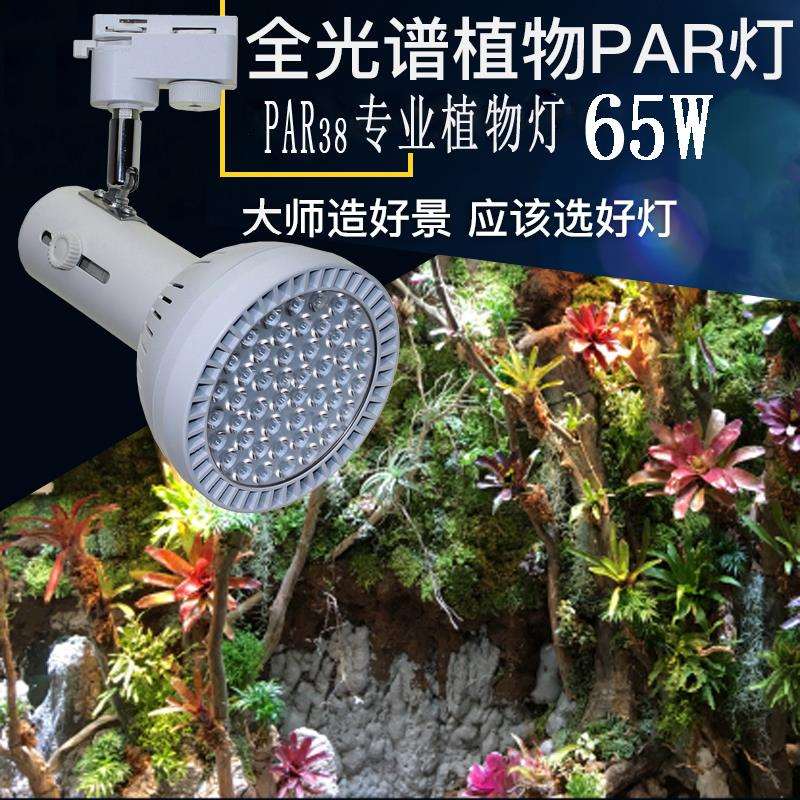 65W植物墙补光射灯室内假山鱼缸造景全光谱led生长轨道雨林缸灯