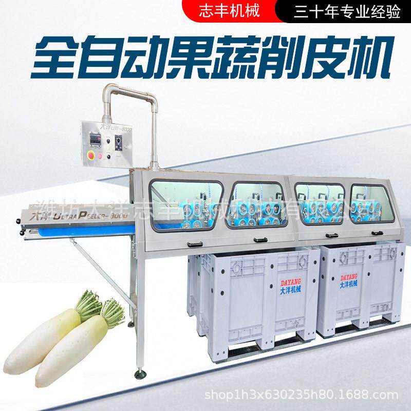 商用白萝卜削皮机厂家全自动连续式生产现货销售无损伤山药去皮机