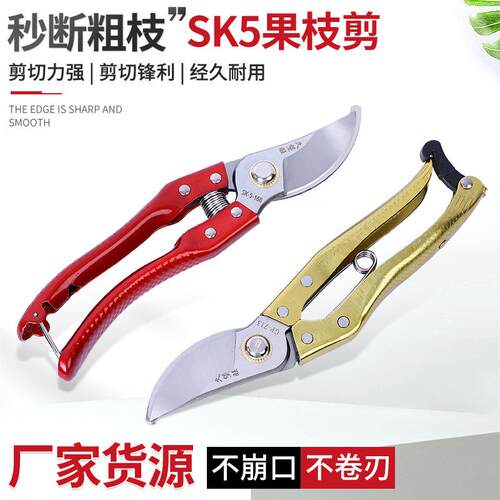 园林果枝剪树枝剪花枝果树剪sk5家用修剪工具园艺修枝剪刀
