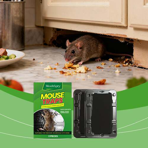 MOONSPRY Sticky Mouse Trap - Gentle and Portable Formula for