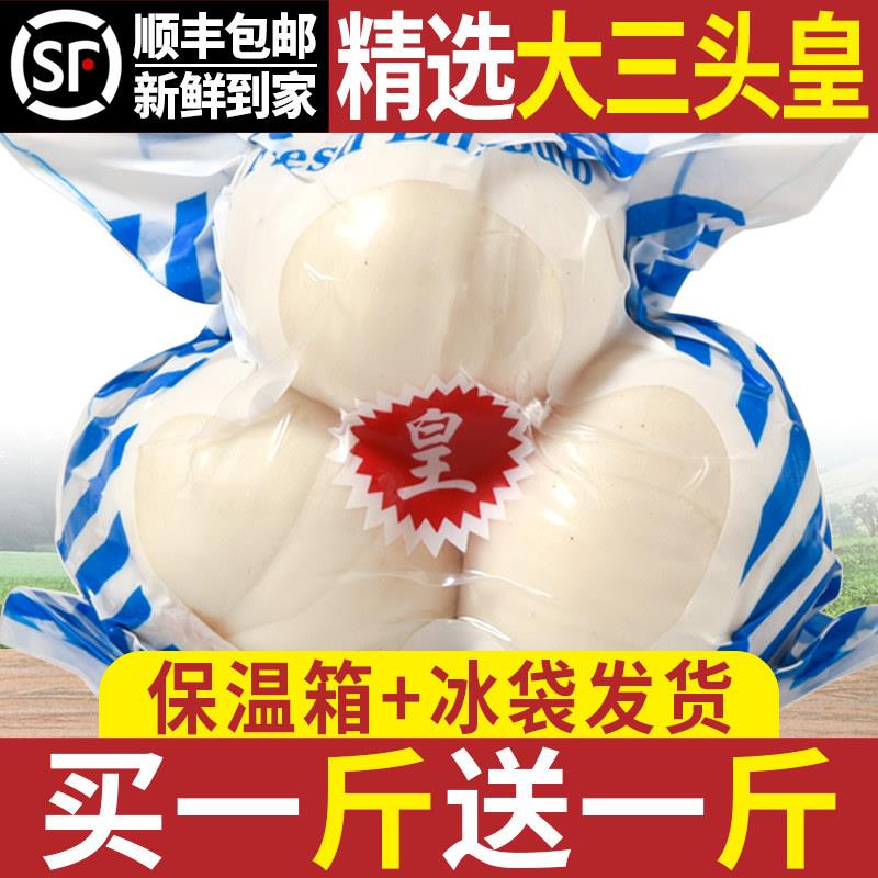 兰州新挖新鲜甜百合500g三头食用鲜白合甘肃特产非干 干货特级百