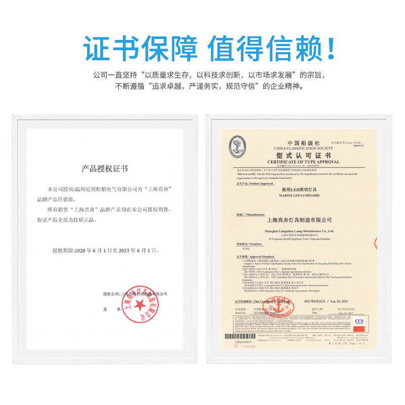 亮舟船用灯管式LED双管荧光舱顶灯ZYC/LZYC22-2E/2EF应急网罩CCS