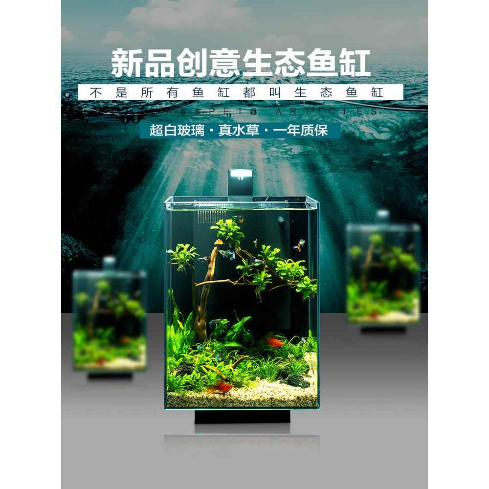鱼缸水族箱小型桌面家用阿诺比水草造景懒人养鱼客厅小型生态鱼缸