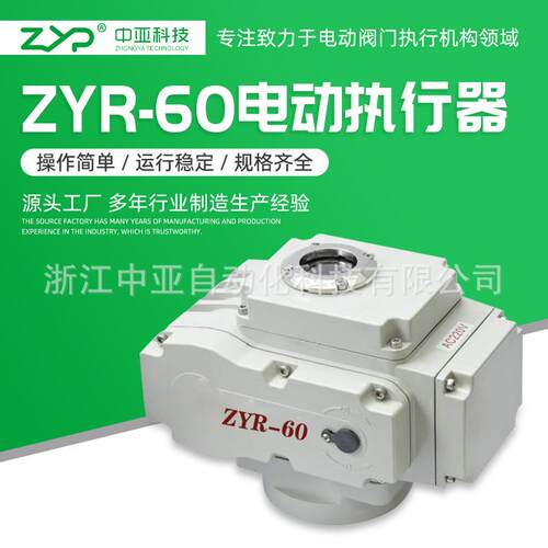 供应阀门电动装置精小型电动头ZYR-60
