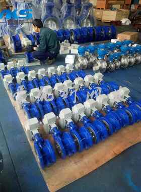 双向压蝶阀/DS343H-16C/DS363H双向密封蝶阀 高压蝶阀/硬密封