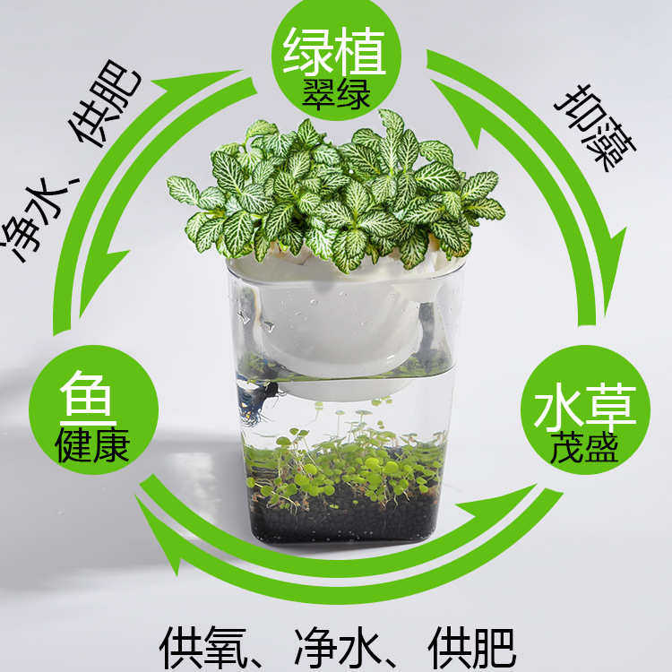 鱼菜共生 水草创意超白桌面迷你鱼缸 免换水生态塑料懒人鱼缸,宠物/宠物食品及用品,桌面缸,淘宝优惠券,粉丝福利购,淘宝优惠卷