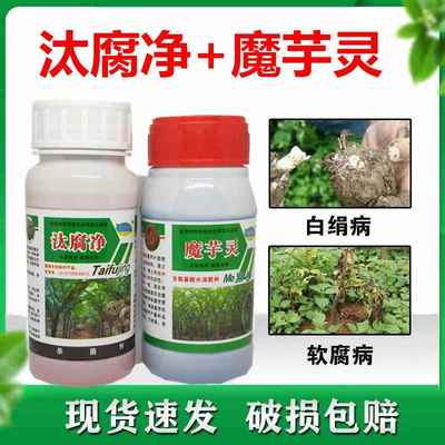 魔芋灵汰腐净魔芋防病药白绢病软腐病专用药芋头专用药疫病烂叶