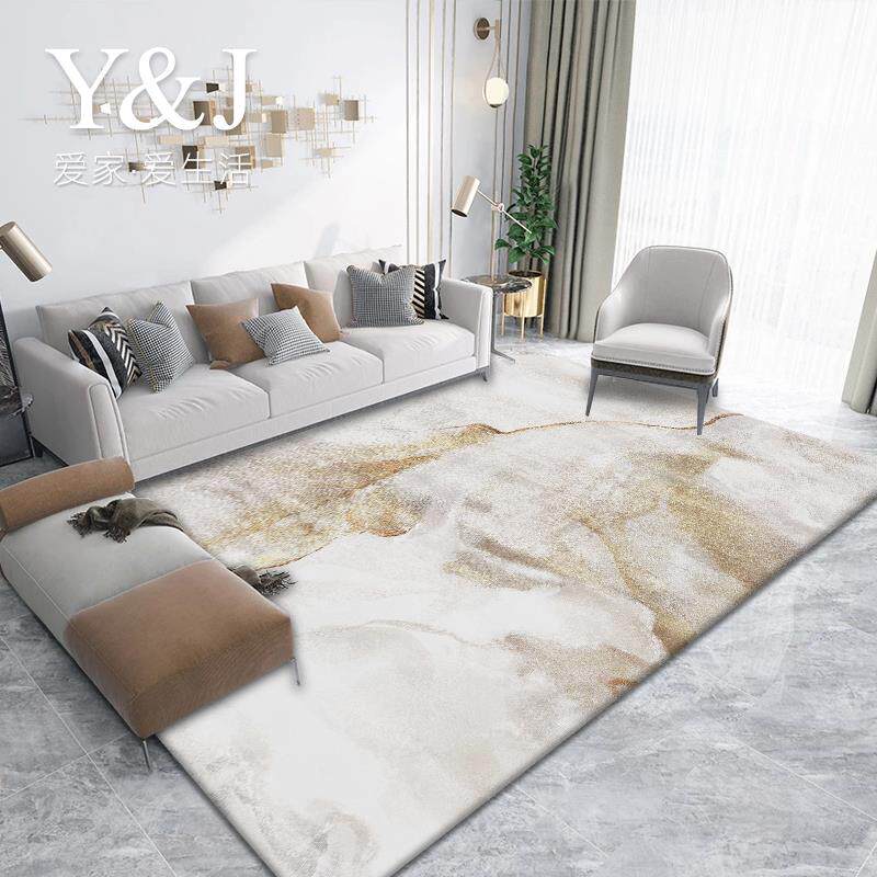 新款地毯客厅2大024新款轻奢高级感免洗可擦地垫用防积水家防污面