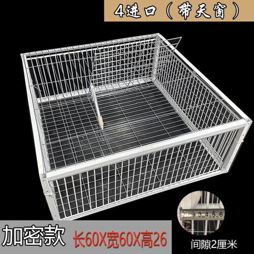 天落笼只进不出鸽子笼加密活络门鸽笼自动门撞门户外房顶鸽子笼子