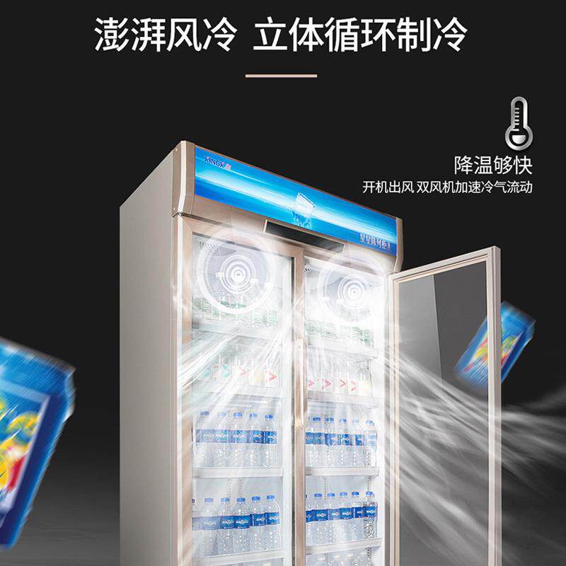 星星LSC-610WD商用展示柜风冷无霜冷藏保鲜冰箱啤酒饮料柜陈列柜